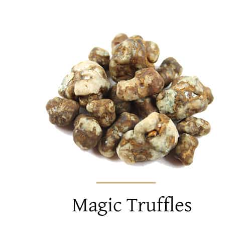 Magic Truffels