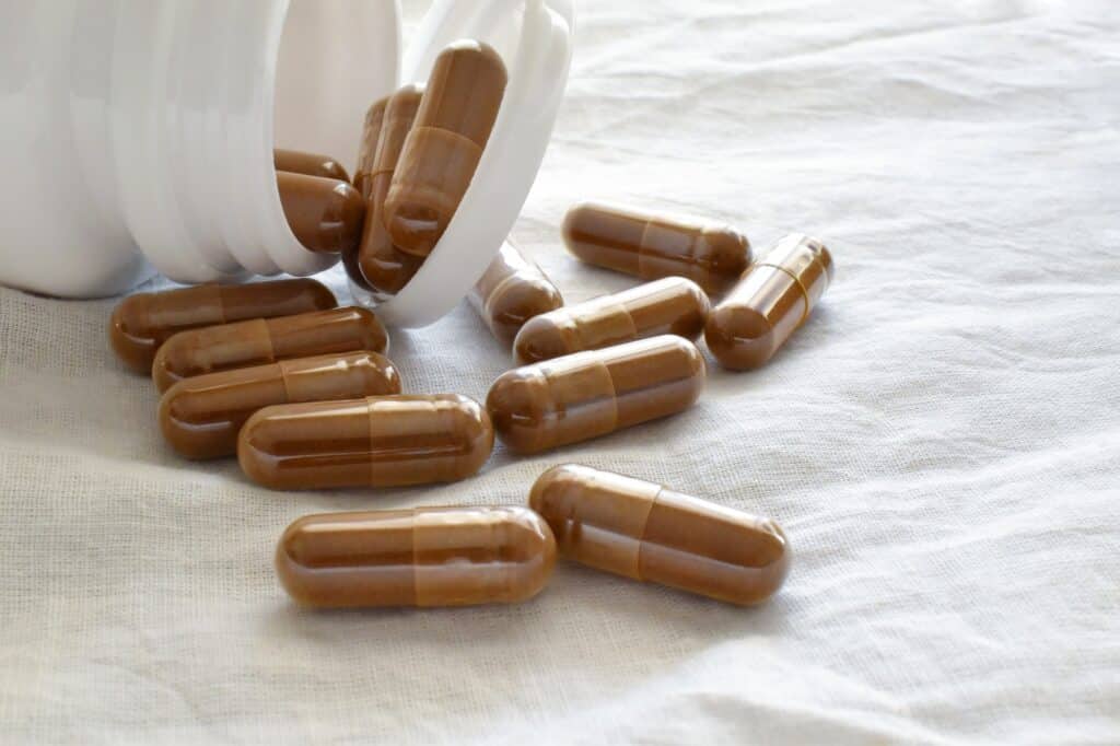 Herb supplement. Lingzhi mushroom or Reishi mushroom supplement capsules.