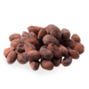 Organic Cacao Zaden Bolivia - Ceremoniële Kwaliteit