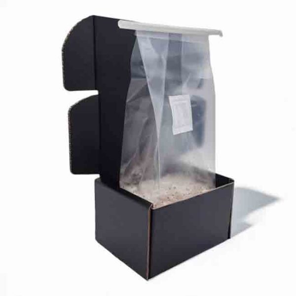 Jack Frost Mushroom Grow Kit - Image 2