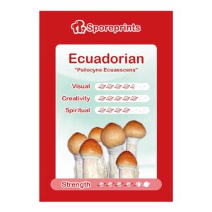 Sporenabdruck aus Ecuador