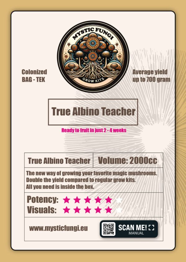 True Albino Teacher Mushroom Grow Kit - Image 3