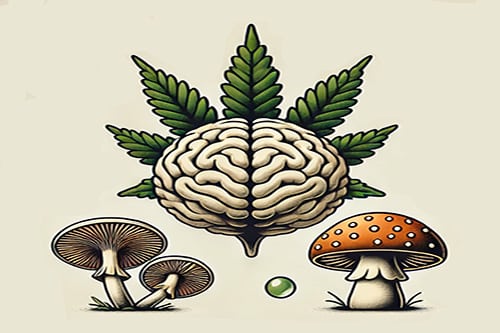 Microdosing