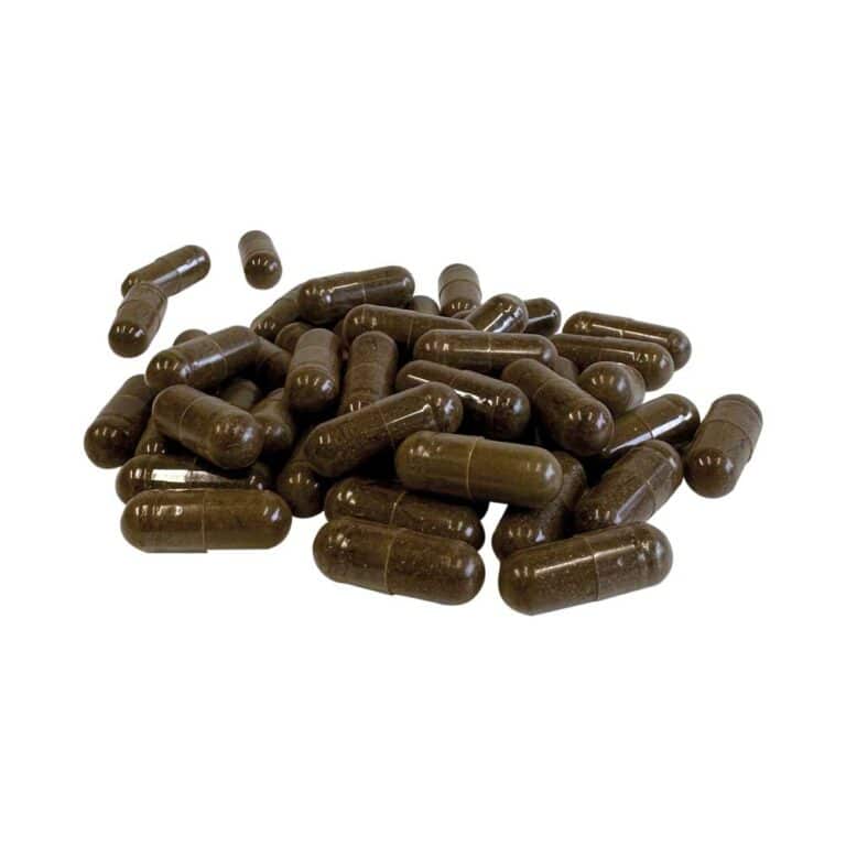 Ashwaganda - 120 Pieces - Image 2
