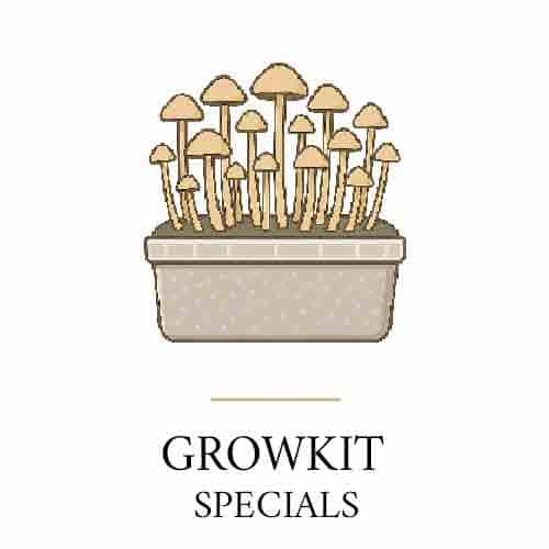Growkit Angebote